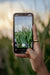 How to Get More Google Reviews for Your Agritourism Farm
