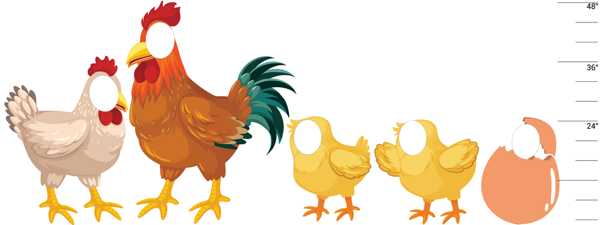 Petting Petting Zoo Attraction Package