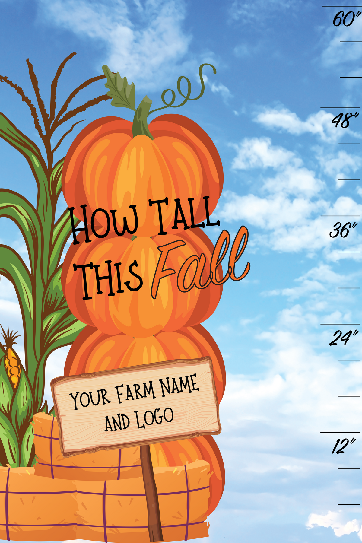 Pumpkin Patch Attraction Package