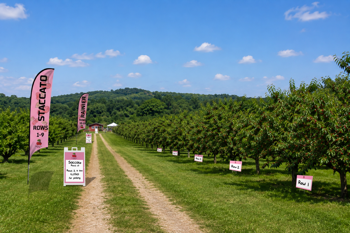  orchard with rows of trees and signs on a sunny day
