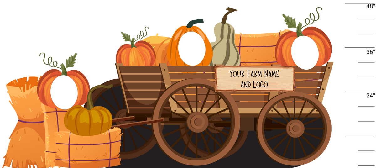 Pumpkin Patch Photo Opportunity Displays